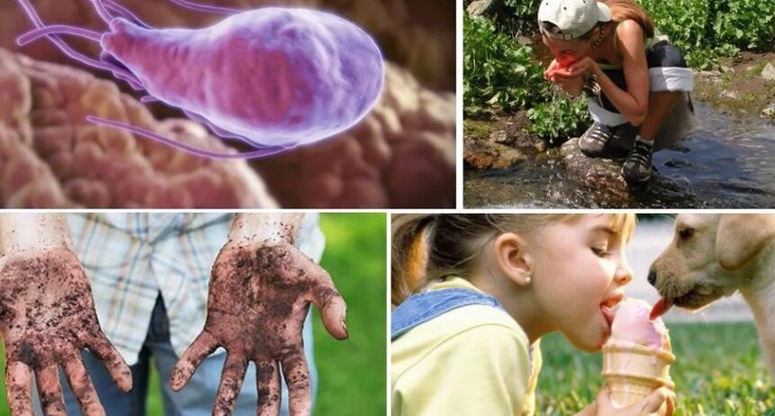 Sources d'infection