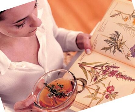 Recettes de parasites populaires