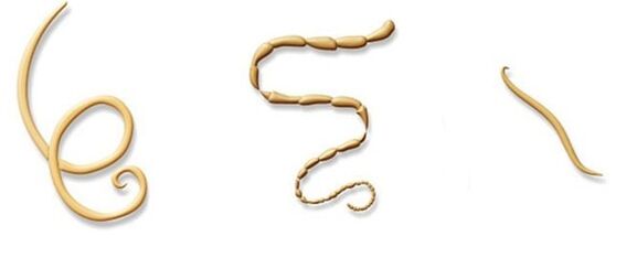 Types de parasites